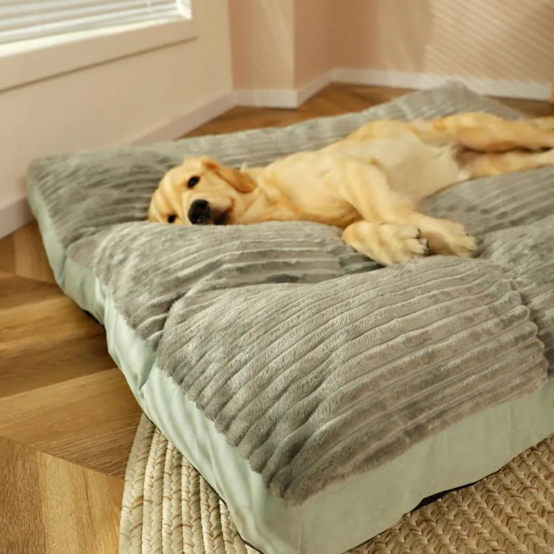 Stijlvol orthopedisch hondenbed dat naadloos past in elk interieur; biedt pijnverlichting en rust voor je hond.