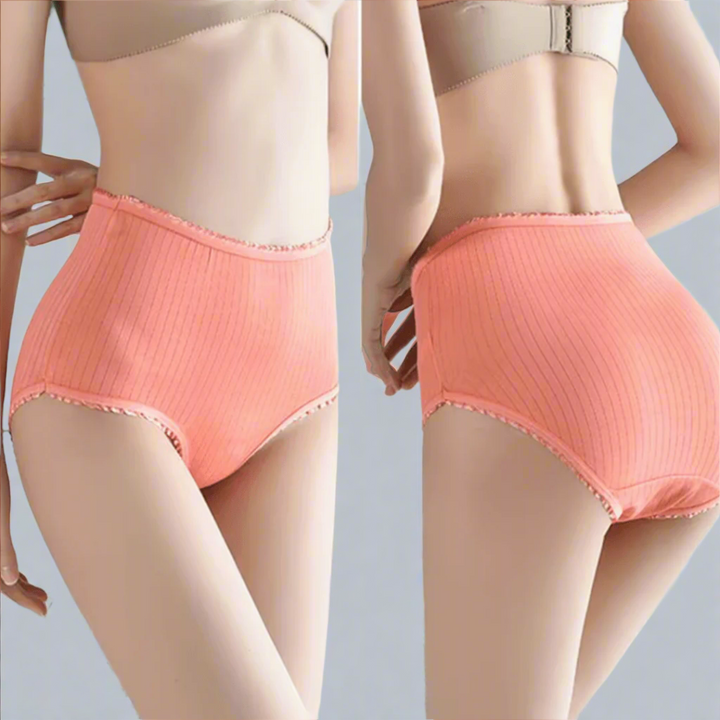Diverse kleuren lekvrij damesondergoed, een set van 5 comfortabele slips voor optimale zekerheid.