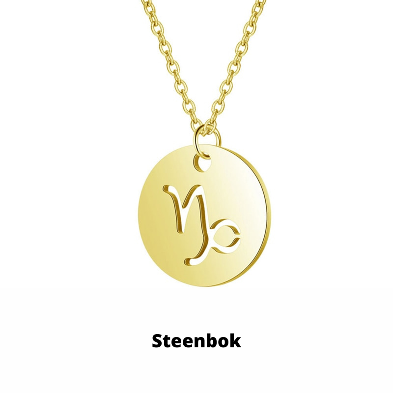 Minimalistische zilveren damesketting met waterman sterrenbeeld, roestvrij staal, lichtgewicht.