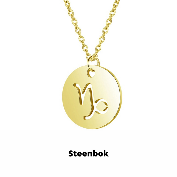 Zilveren dames sieraad: sterrenbeeld ketting van roestvrij staal, tijdloos en elegant.