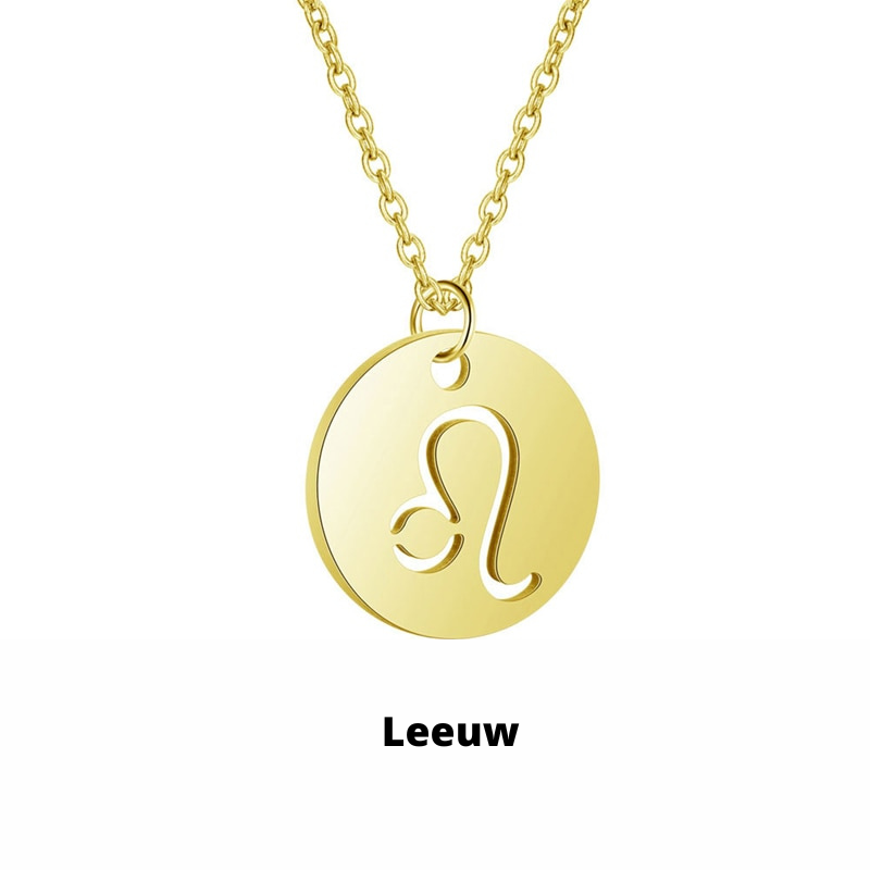 Zilveren ketting met tweelingen geboorteteken, roestvrij staal, blijft mooi, tijdloos accessoire.
