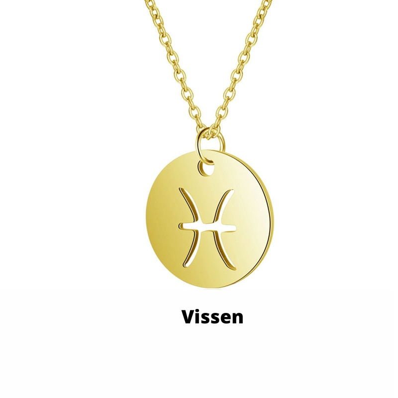 Close-up van een schorpioen sterrenbeeld hanger aan zilveren damesketting, gedetailleerd.