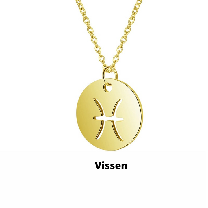 Close-up van een schorpioen sterrenbeeld hanger aan zilveren damesketting, gedetailleerd.