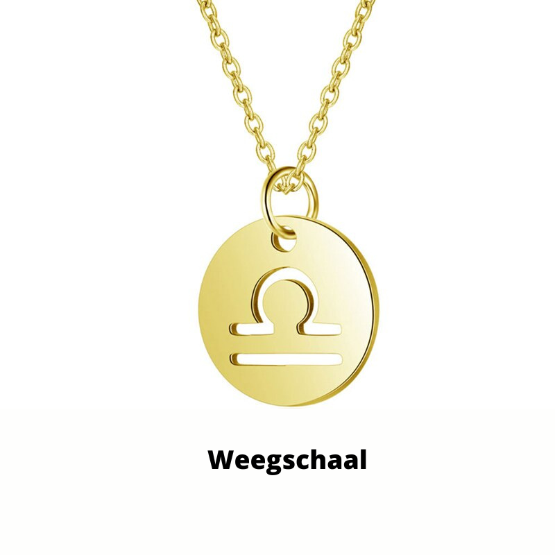 Zilveren ketting met vissen sterrenbeeld, roestvrij staal, ideaal als cadeau, blijft glanzen.