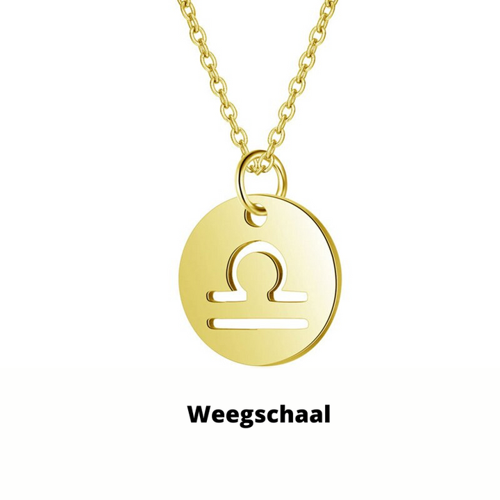 Zilveren ketting met vissen sterrenbeeld, roestvrij staal, ideaal als cadeau, blijft glanzen.
