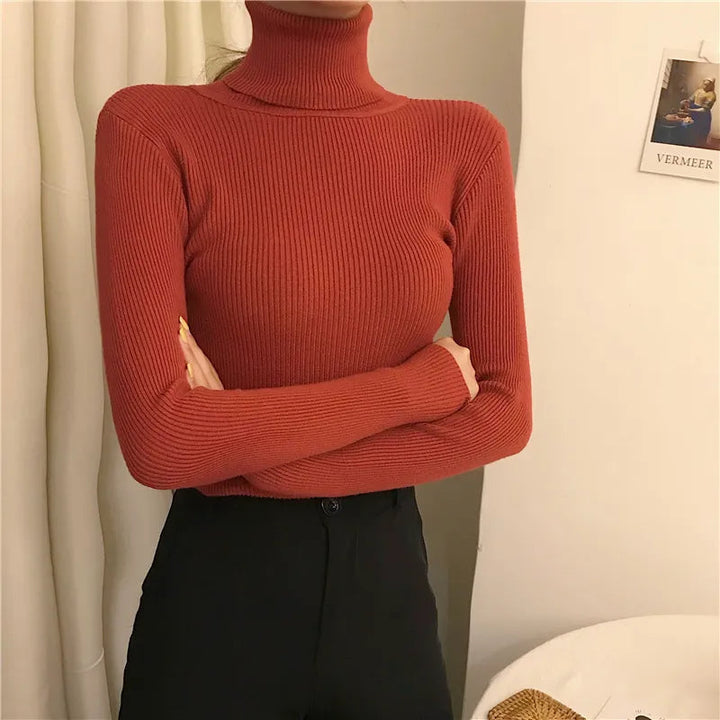 Effen lange mouwen coltrui, gebreid. Comfortabel voor dames, herfst en winter.