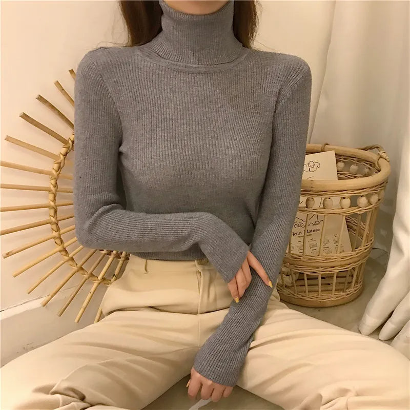 Casual gebreide dames coltrui. Warm en comfortabel, perfect voor winterse dagen.