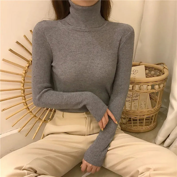 Casual gebreide dames coltrui. Warm en comfortabel, perfect voor winterse dagen.