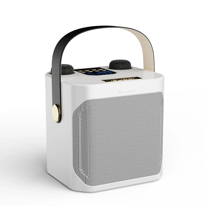Feestklare draagbare karaoke boombox met Bluetooth luidspreker en dubbele microfoon voor dynamisch geluid.