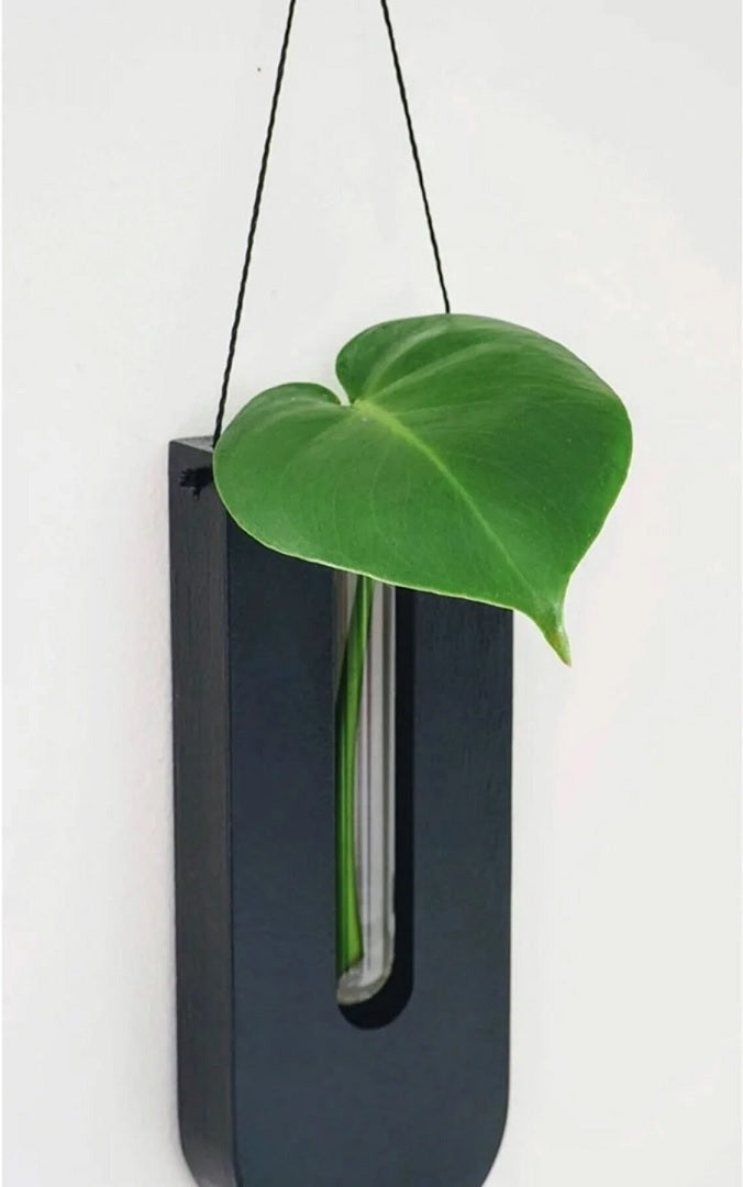 Boho houten plantenhouders set voor aan de muur. Grenenhout muurdecoratie verfraait elk rustiek of modern interieur.