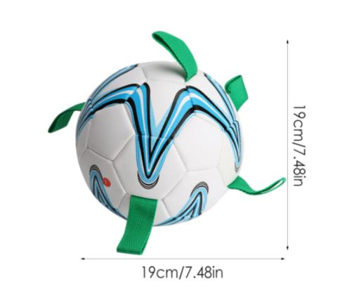 Plezierig honden speelgoed: drijfbal voetbal voor puppies en volwassen honden, perfect voor actieve training.