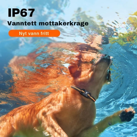 Waterdichte hondentrainingshalsband met groot bereik, ideaal voor gehoorzaamheidstraining buitenshuis.