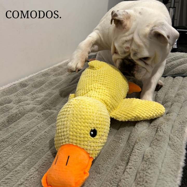 Pluche kalmerende hondenknuffel, een zacht speeltje dat stress en angst bij honden vermindert.
