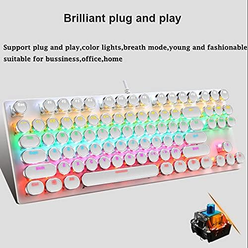 Duurzaam compact mechanisch toetsenbord (87 toetsen) met RGB en robuuste blauwe schakelaars.