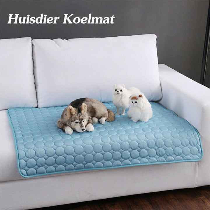Comfortabele honden en katten koelmat van ijszijde voor verkoeling en ontspanning in de zomer.