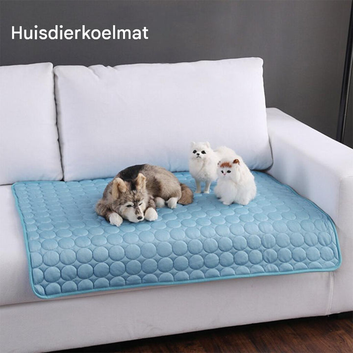 Blauwe ijszijde koelmat voor huisdieren; een hond ontspant erop, genietend van de verkoeling.