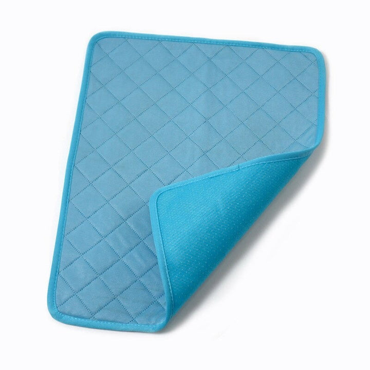 Compacte koelmat voor hond en kat, makkelijk mee te nemen voor verkoeling onderweg.
