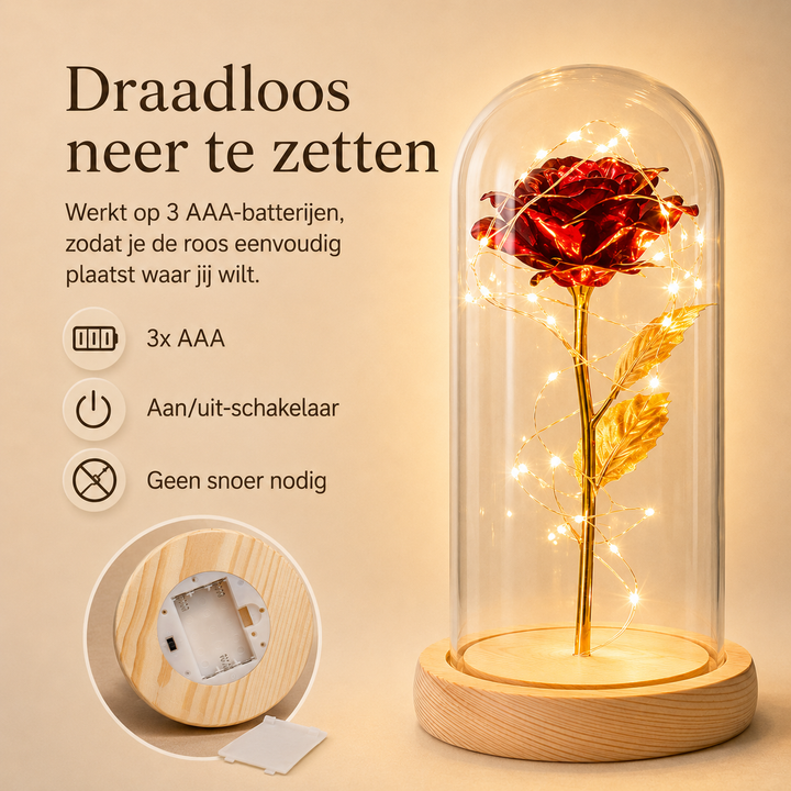 LED verlichte eeuwigheidsroos in glazen stolp, betoverend cadeau en sfeervolle interieur decoratie.