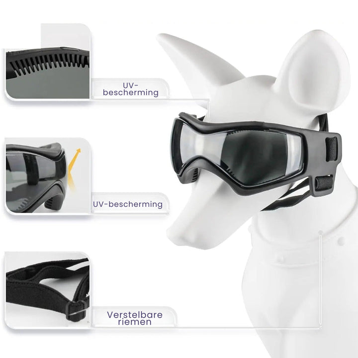 RiderPaw hondenbril met UV-bescherming. Perfecte aanvulling op de helm voor veilige motoravonturen van je hond.