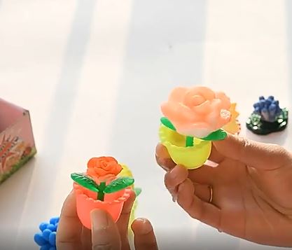 Cactus element uit de groeiende planten speelgoed set voor kinderen. Veilig, educatief en stimuleert leren.
