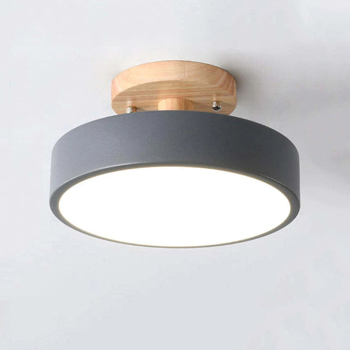 Veelzijdige dimbare 36W LED plafondlamp, perfect als moderne woon- of slaapkamerlamp.