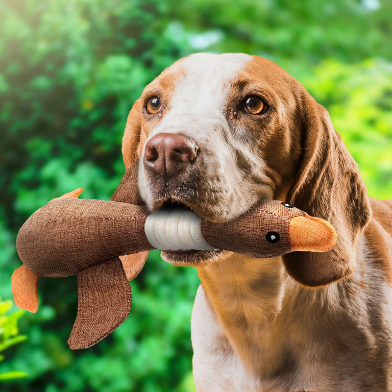 Pluche eendenspeelgoed voor honden, ideaal voor interactief speelplezier en zacht voor de bek van je huisdier.