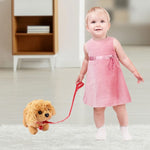 Teddyhond