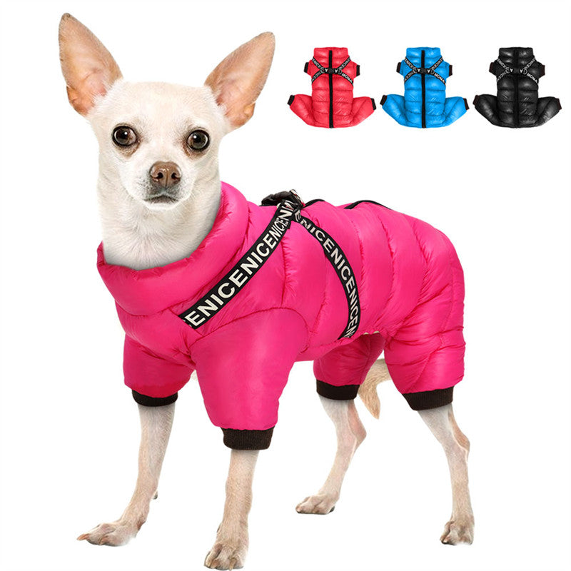 Warme ArcticPaws winterjas voor honden, comfortabele en beschermende hondenkleding voor koude dagen.