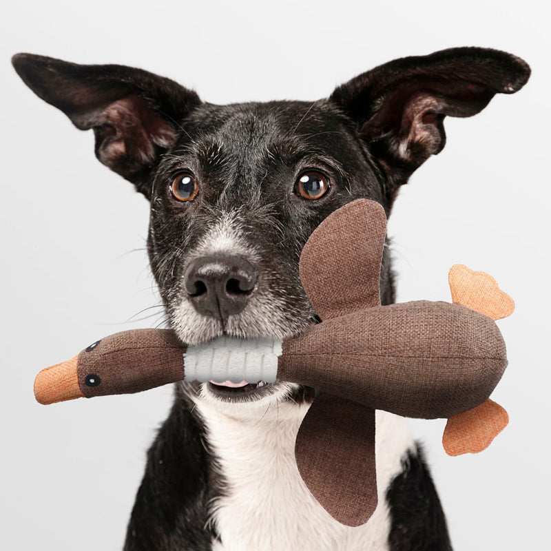 Schattig pluche eend hondenspeelgoed, perfect voor apporteren en knuffelen met je volwassen hond.