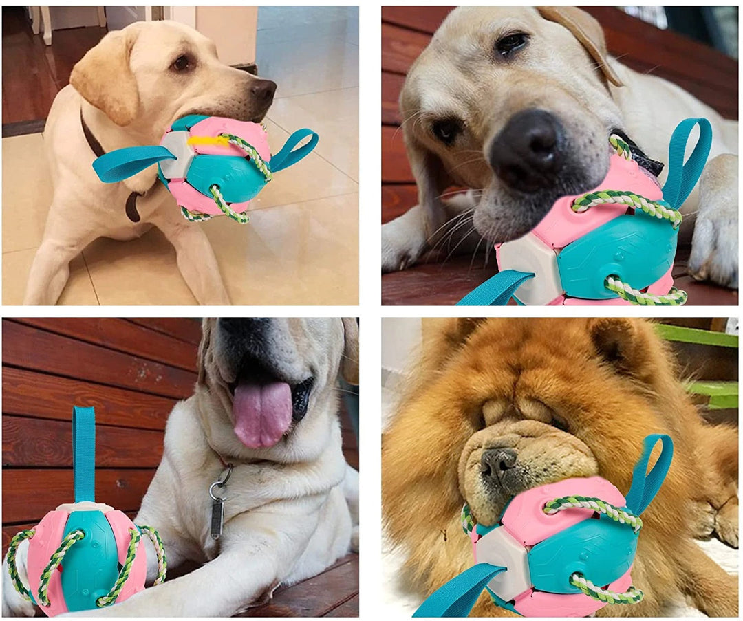 Veelzijdige kauwbal voor pups en volwassen honden; bevordert mondhygiëne en biedt interactief trainingsplezier.