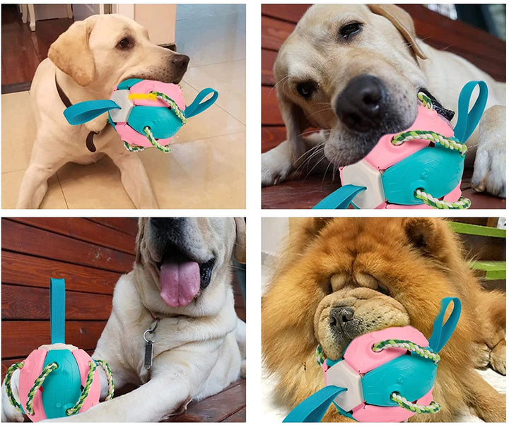 Veelzijdige kauwbal voor pups en volwassen honden; bevordert mondhygiëne en biedt interactief trainingsplezier.