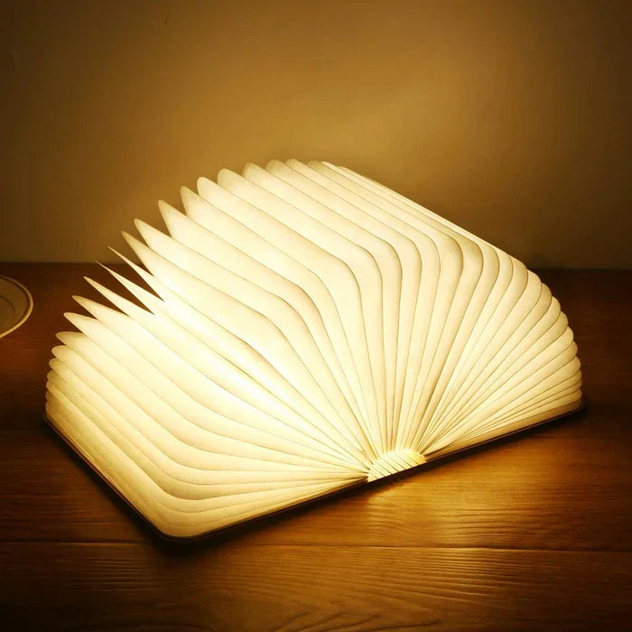 Veelzijdige moderne LED leeslamp; flexibele, oplaadbare design lamp perfect als bed-, studie- of reisverlichting.