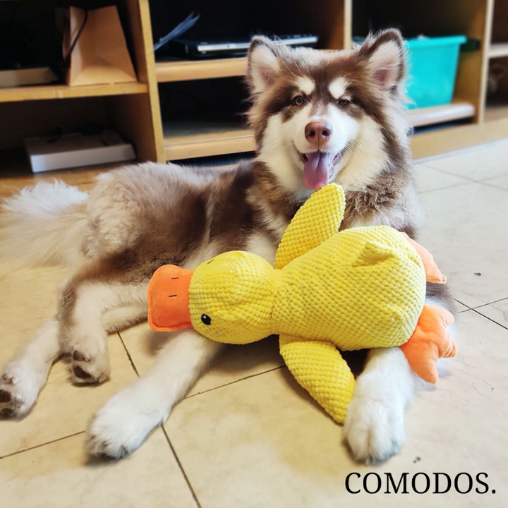 Hondenknuffel voor stressverlichting. Dit anti-stress hondenspeelgoed kalmeert je hond effectief.