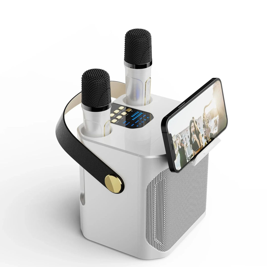 Draagbare karaoke boombox met Bluetooth, dubbele microfoon en stereogeluid voor feestjes.