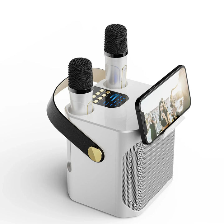 Draagbare karaoke boombox met Bluetooth, dubbele microfoon en stereogeluid voor feestjes.