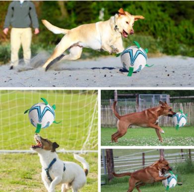Hoogwaardig honden voetbal speelgoed en huisdier accessoire; duurzame drijfbal voor urenlang speelplezier.
