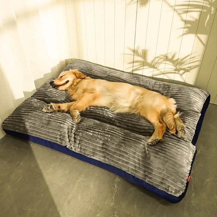 Orthopedisch hondenkussen voor ultiem comfort en gewrichtsondersteuning, ideaal voor rust en herstel van je hond.