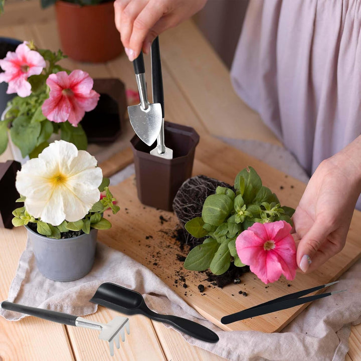Universele vetplant gereedschapset in handige opbergtas, perfect voor georganiseerde plantenverzorging thuis.