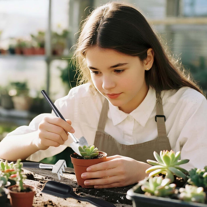 Praktische gereedschapset voor optimale verzorging van vetplanten, cactussen en kleine kamerplanten in binnentuinen.
