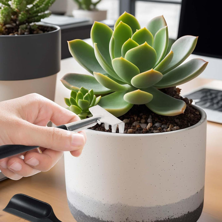 Essentiële gereedschapset voor vetplantenliefhebbers; perfect cadeau voor binnentuinieren en minituinen.