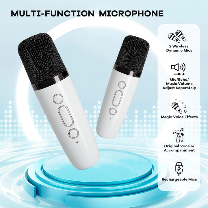 Entertainment set: draagbare karaoke machine met Bluetooth, speaker en twee draadloze mics.