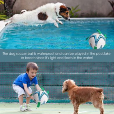 Trainingsbal voor honden: interactief voetbal speelgoed bevordert gehoorzaamheid en beweging, duurzaam TPU.