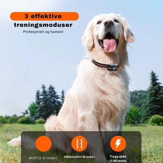 Afstandsbediening van de ProTrain trainingshalsband, toont instelbare modi voor hondentraining en gedragscorrectie.