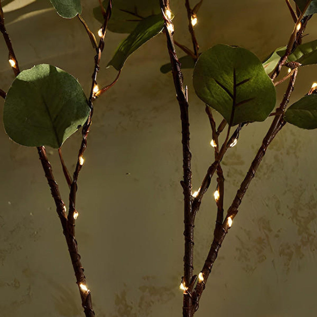 Unieke LED olijftak woondecoratie 70cm, sfeervol warm wit licht. Batterijverlichting voor elke tafel. Geweldig cadeau.