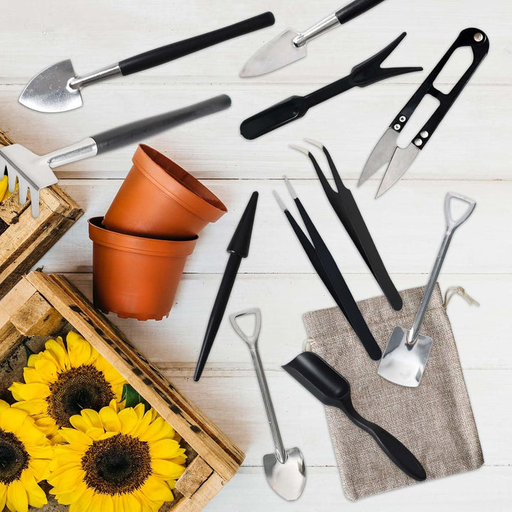 Complete set met diverse minituingereedschappen; ideaal voor vetplanten, cactussen en delicate kamerplantenverzorging.