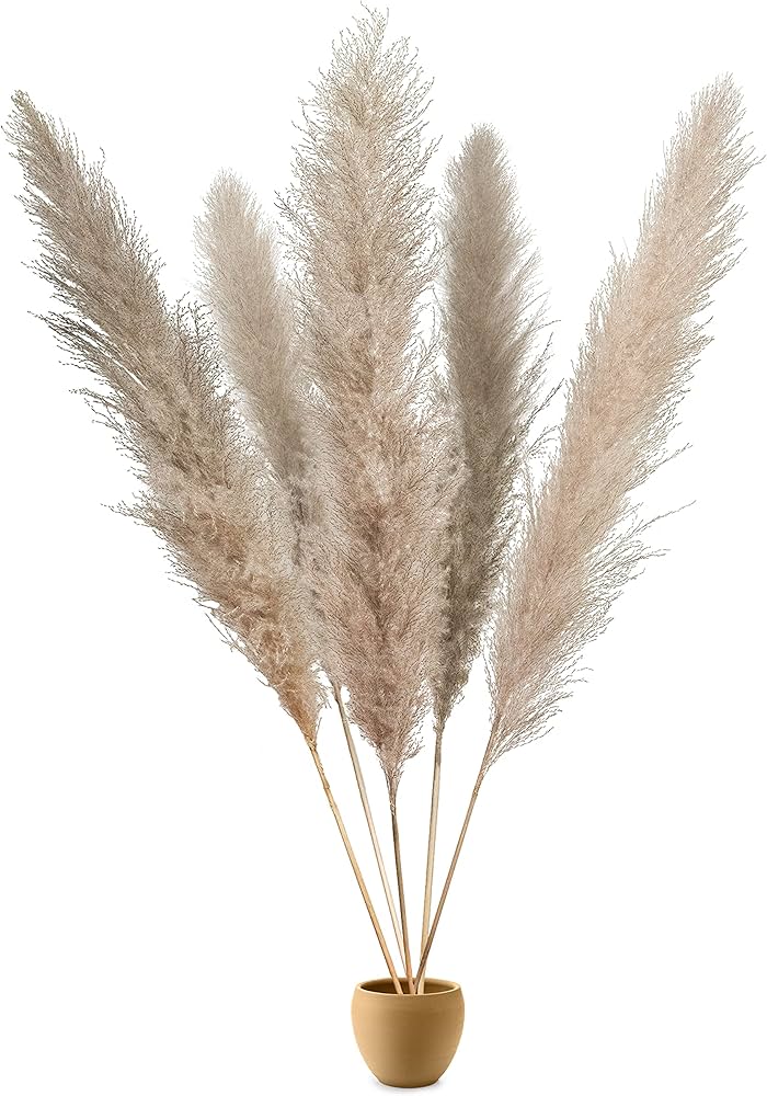 Pluizig pampas gras voor natuurlijke huisdecoratie. Gedroogde pluimen in beige, roze en wit voor interieur.
