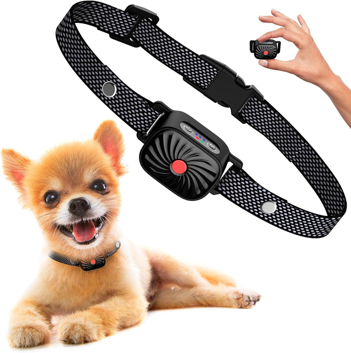 Effectieve anti-blaf halsband voor kleine honden, ideaal voor diervriendelijke gedragscorrectie en training.