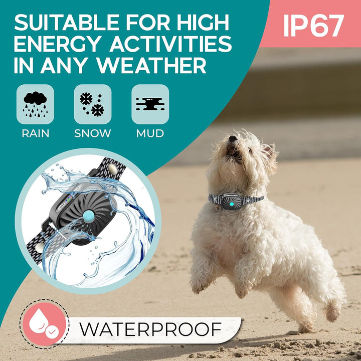 Oplaadbare anti-blaf halsband voor kleine honden; een essentieel hulpmiddel voor effectieve hondentraining.