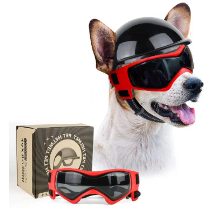 Hond met RiderPaw helm en bril geniet van veilige motorrit. Hoogwaardige accessoires voor bescherming onderweg.