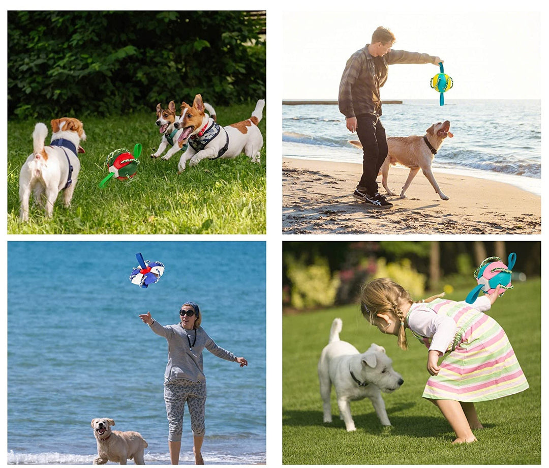 Robuuste kauwbal voor honden; perfect buitenspeelgoed voor actieve sessies, training en tandverzorging.